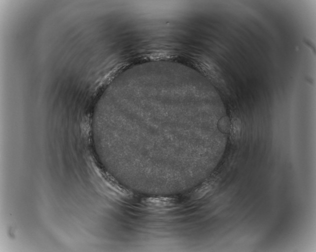 X0000099550367200806131217