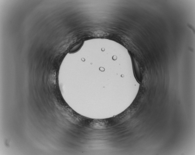 X0000099550368200806131217