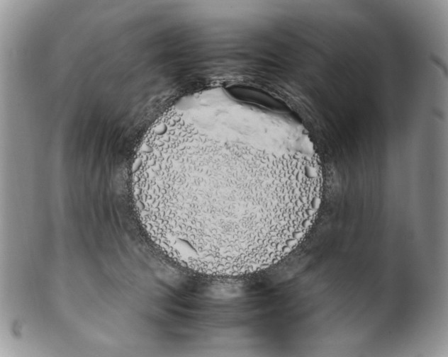 X0000099550369200806131217