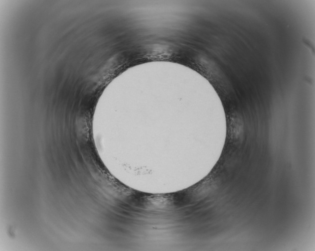 X0000099550370200806131217