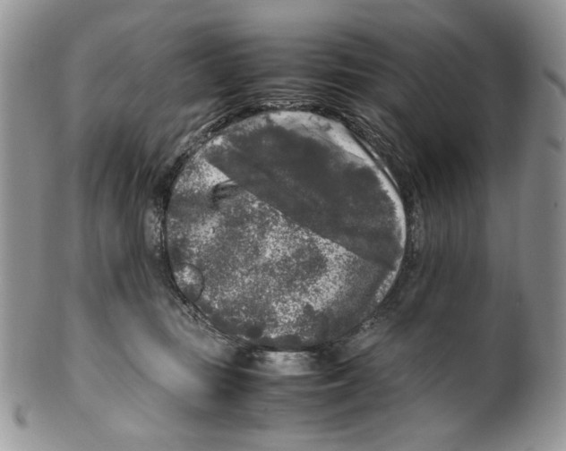 X0000099550371200806131217