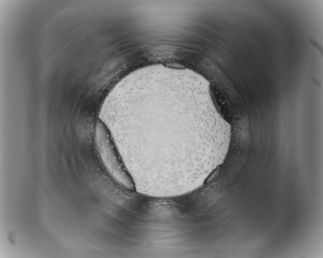 X0000099550372200806131217