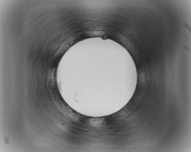 X0000099550373200806131217