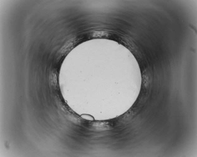 X0000099550375200806131217