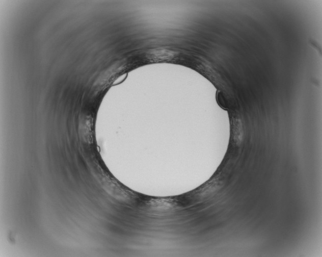 X0000099550378200806131217