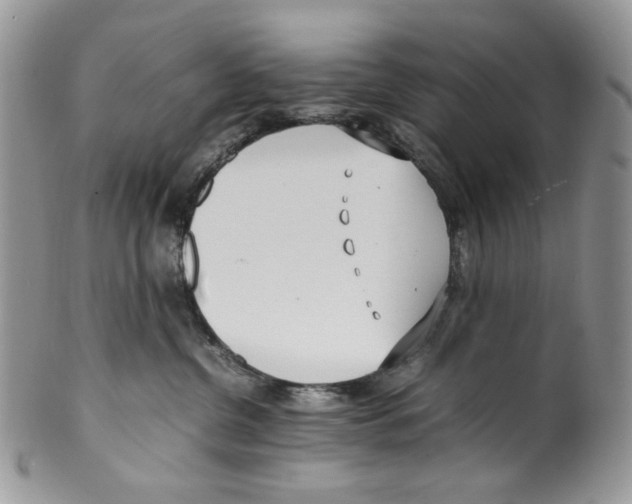 X0000099550380200806131217