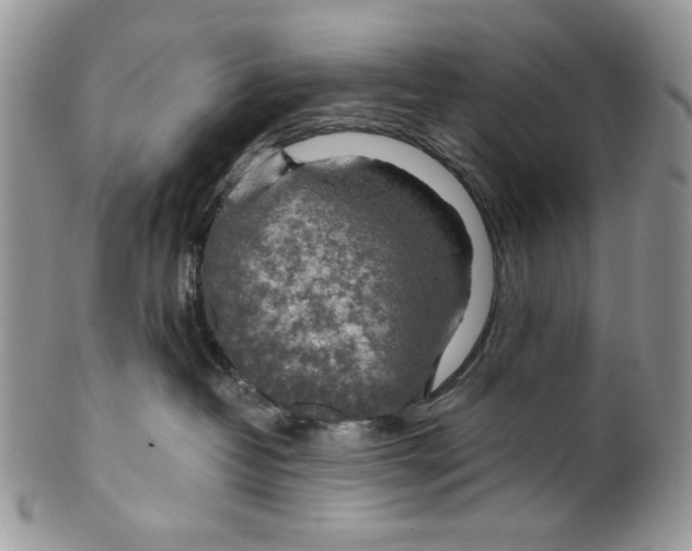 X0000099550382200806131217