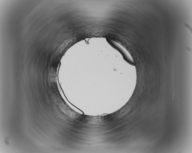 X0000099550384200806131217