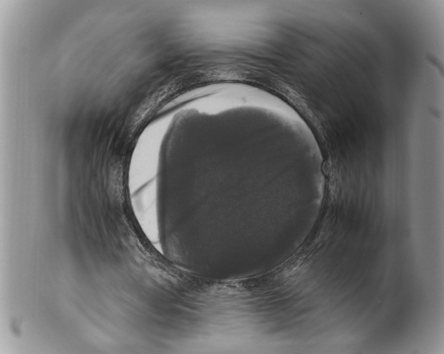 X0000099550386200806131217