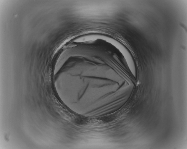 X0000099550387200806131217