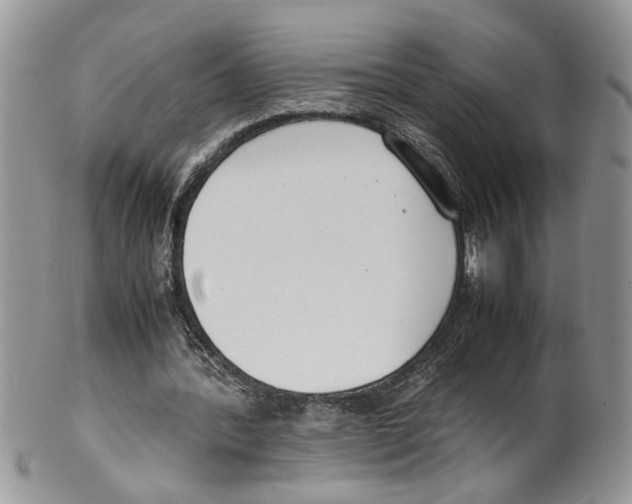 X0000099550388200806131217