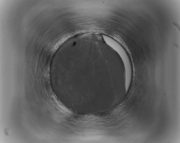 X0000099550389200806131217