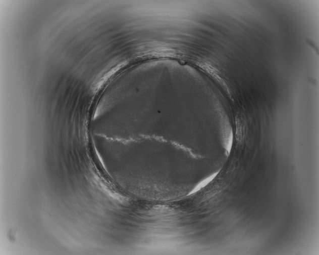 X0000099550390200806131217