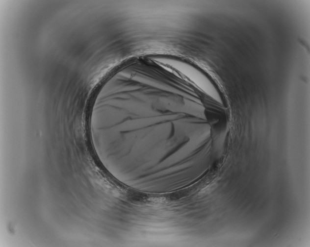 X0000099550391200806131217