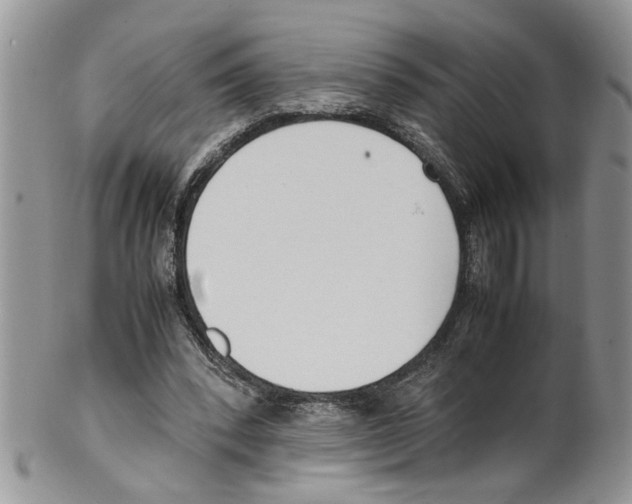 X0000099550392200806131217