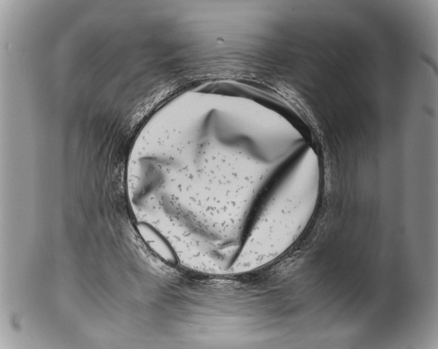 X0000099550393200806131217