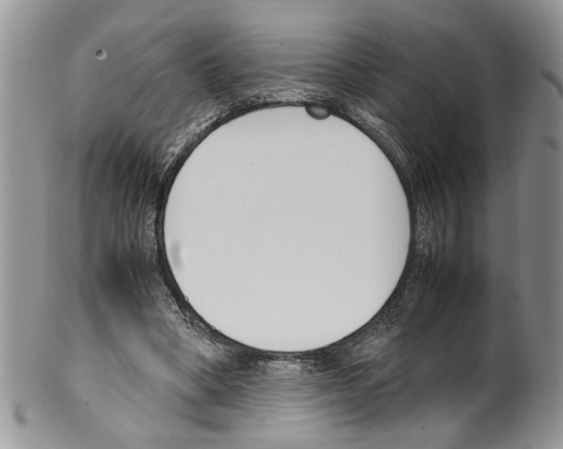 X0000099550394200806131217