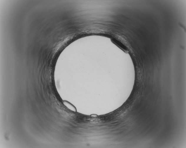 X0000099550395200806131217