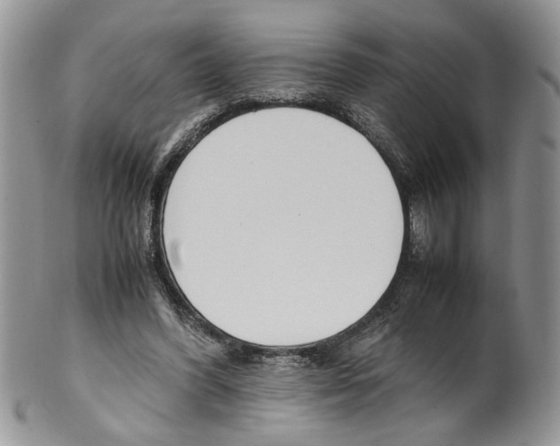 X0000099550396200806131217