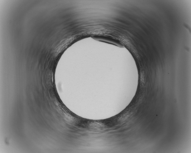 X0000099550397200806131217