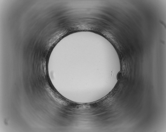 X0000099550398200806131217