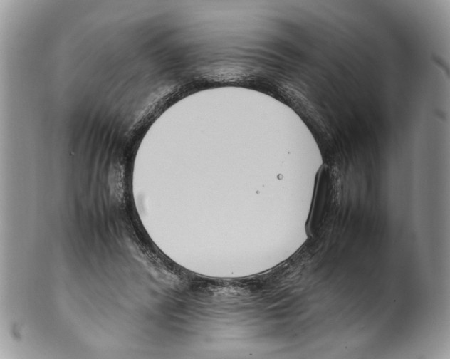 X0000099550400200806131217