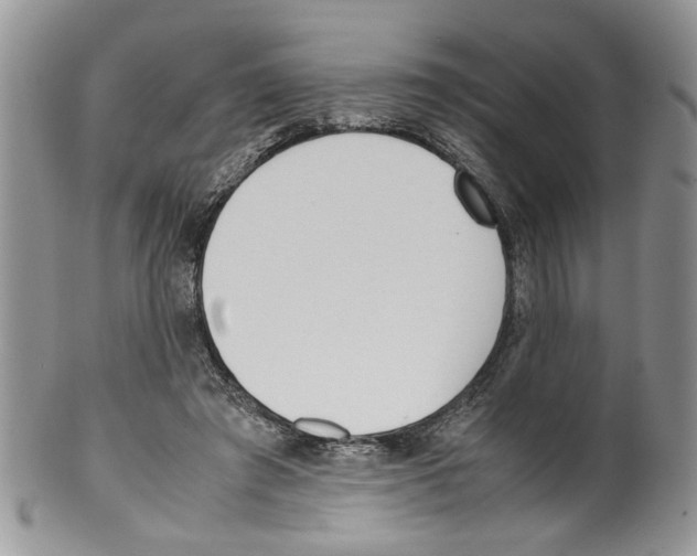 X0000099550401200806131217