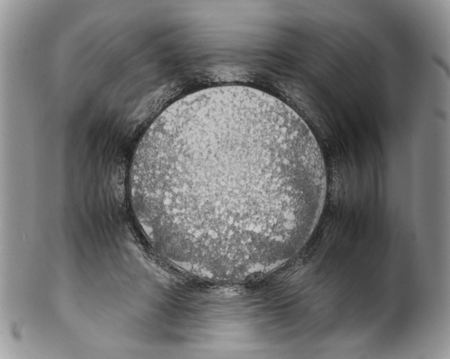 X0000099550402200806131216