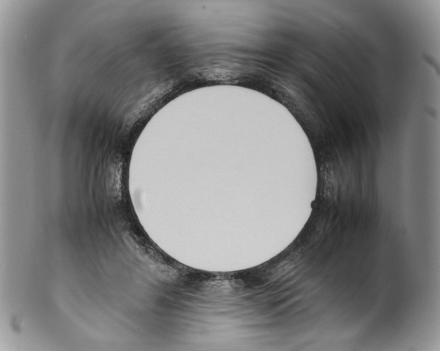 X0000099550404200806131216