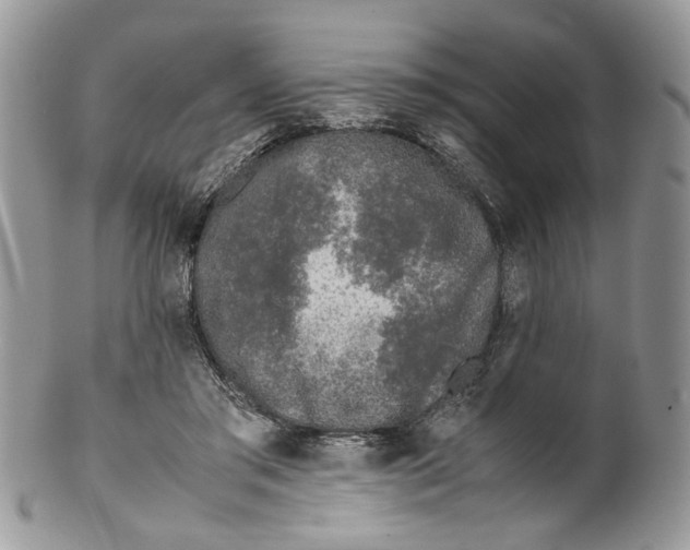 X0000099550405200806131216