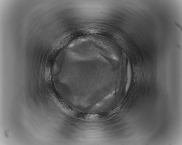 X0000099550410200806131216