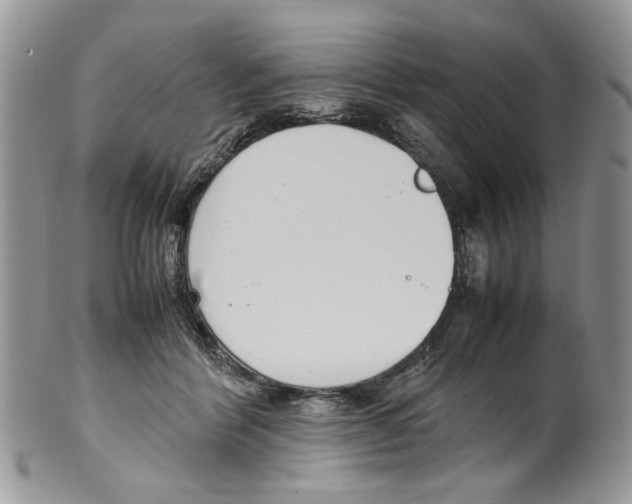 X0000099550412200806131216