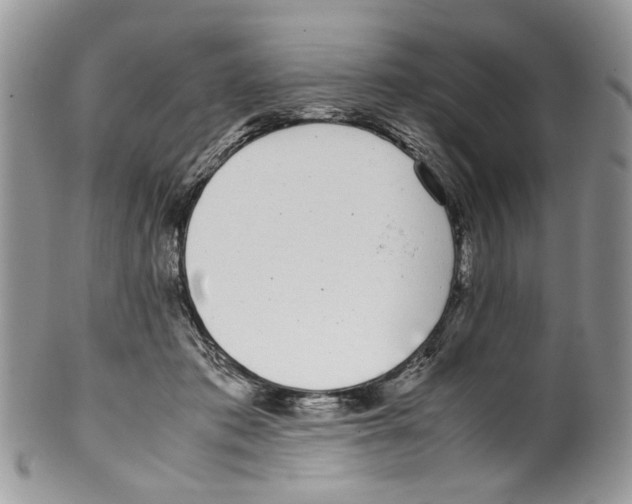 X0000099550413200806131216