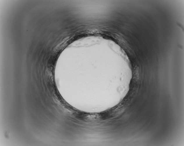 X0000099550415200806131216