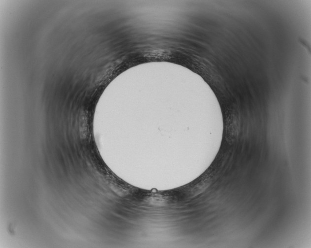 X0000099550416200806131216