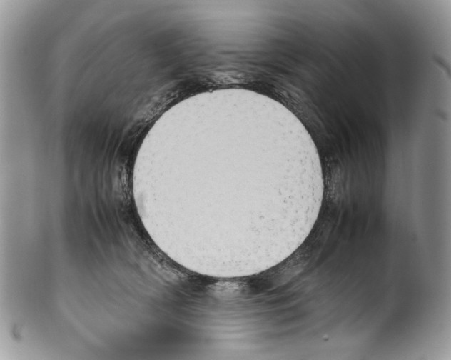 X0000099550418200806131216