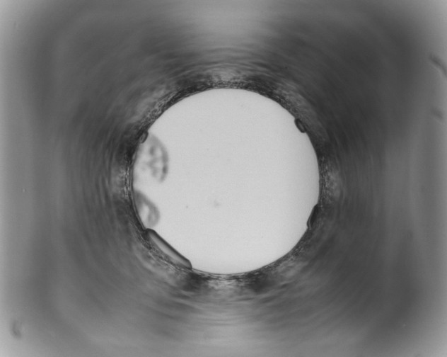 X0000099550419200806131216