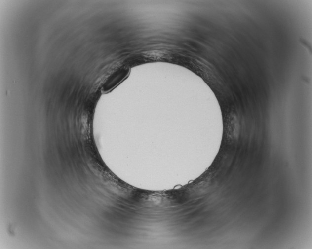 X0000099550420200806131216