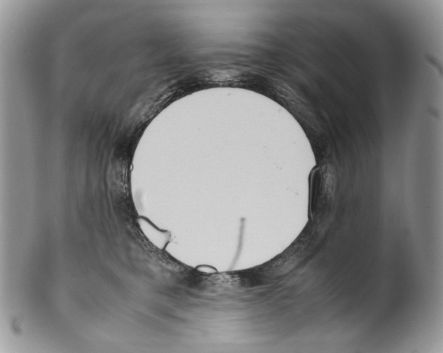 X0000099550421200806131216