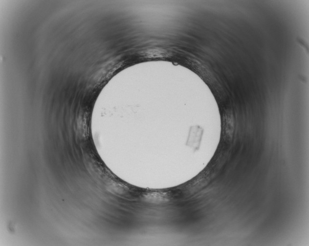 X0000099550422200806131216