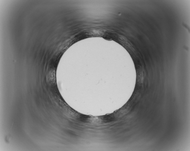 X0000099550425200806131216