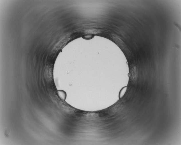 X0000099550426200806131216