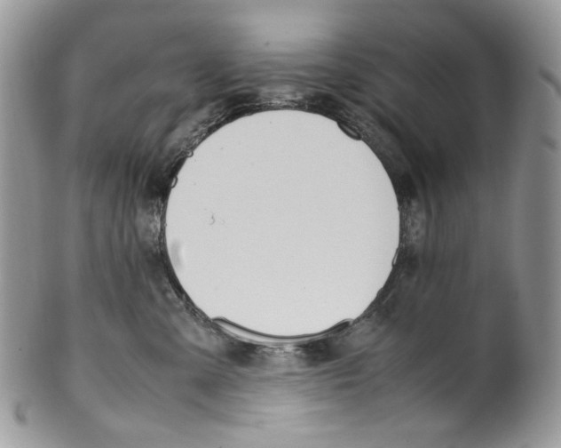 X0000099550427200806131216