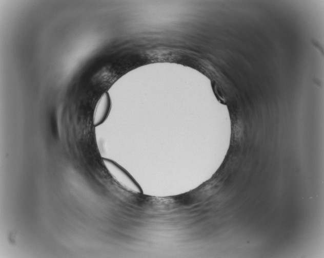 X0000099550429200806131216