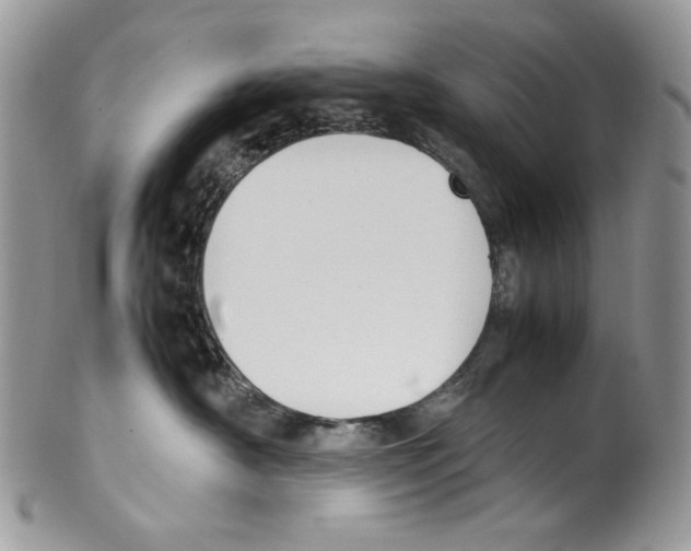 X0000099550430200806131216