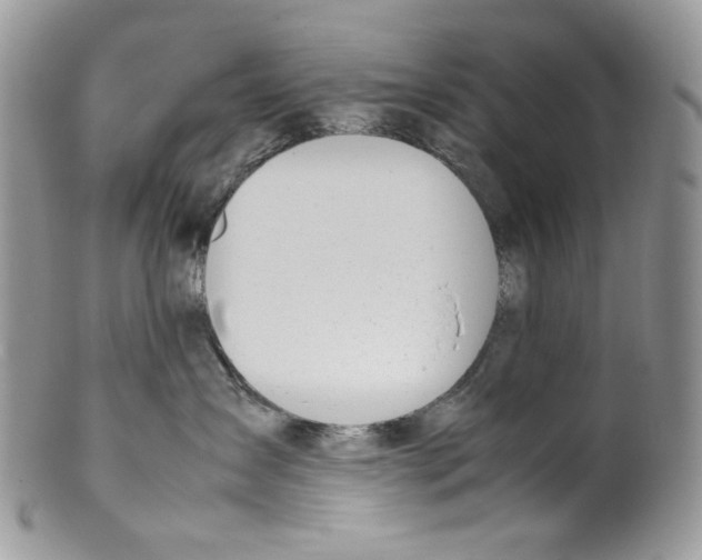 X0000099550431200806131216