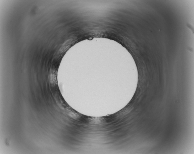 X0000099550432200806131216