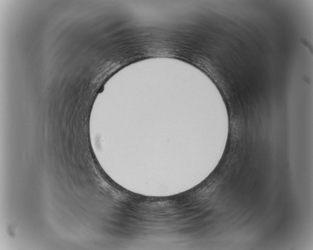 X0000099550433200806131215