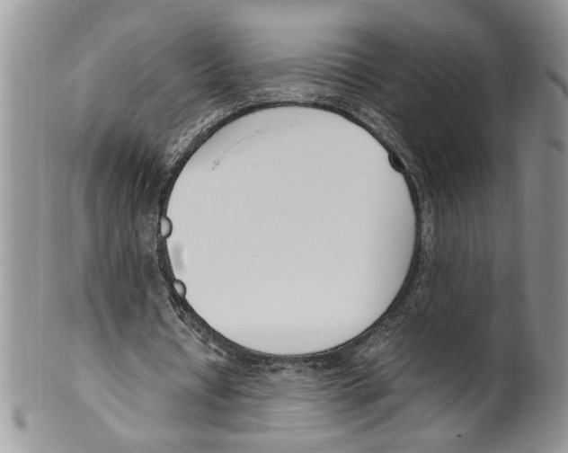 X0000099550434200806131215