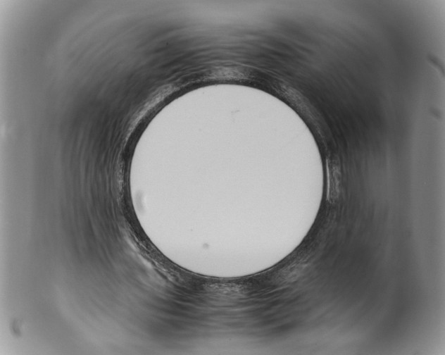 X0000099550435200806131215